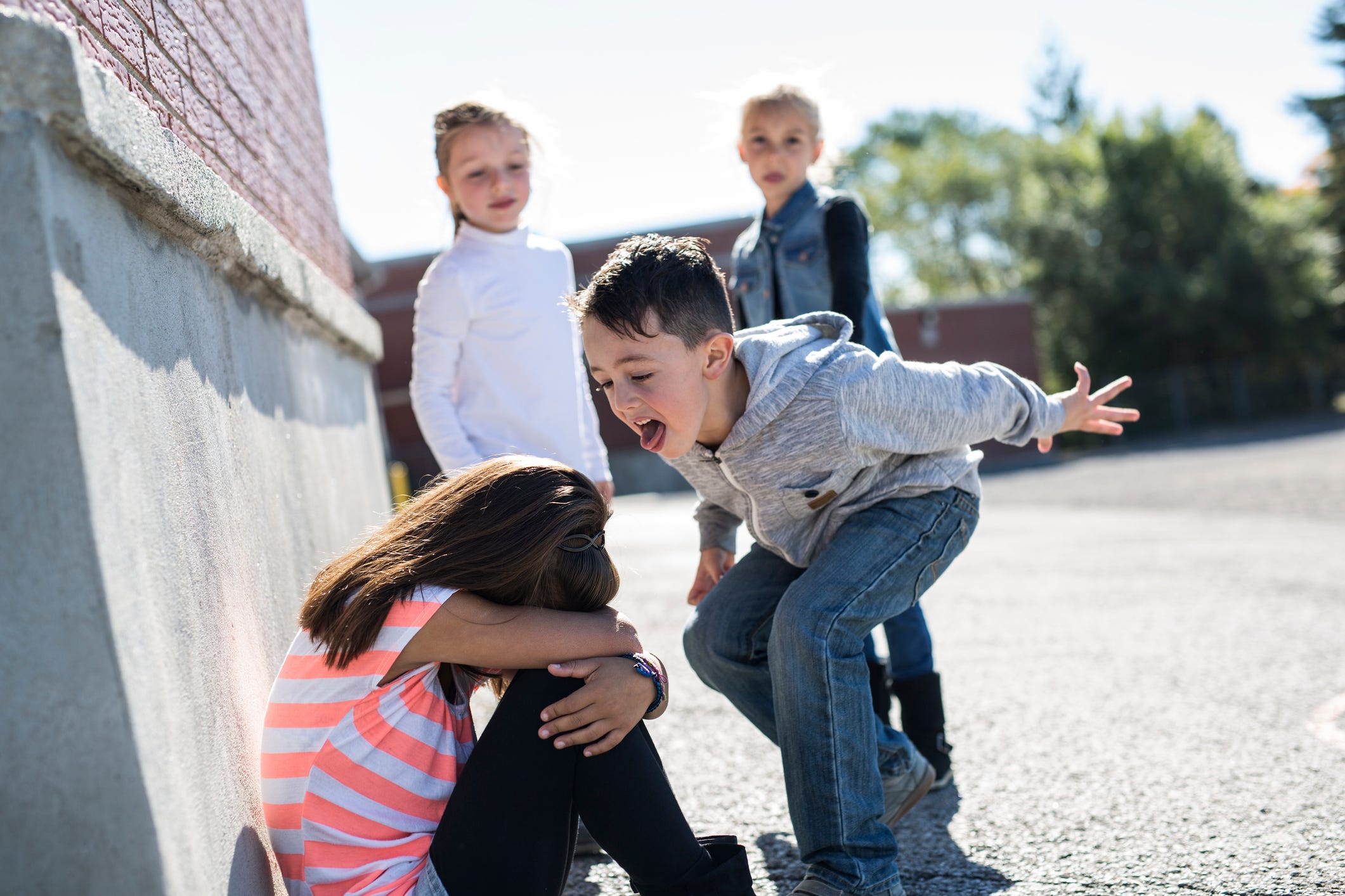 Boy Bullying Little Girl